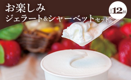 h`F y݃WF[gV[xbgZbg 12 dc-0063