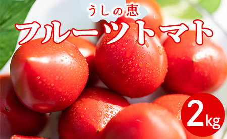 うしの恵 フルーツトマト 約2kg - 送料無料 期間限定 野菜 とまと 産地直送 料理 サラダ 鍋 サンドイッチ 完熟 甘い ギフト 贈答 お礼 御礼 おいしい 国産 高知県 香南市 常温 mj-0009