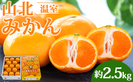 山北温室みかん2.5kg 果物 柑橘類 蜜柑 期間限定 糖度高め フルーツ みかん ku-0030