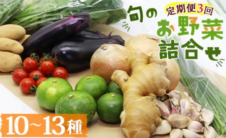 定期便3回コース 高知県香南市産 旬のお野菜詰合せ(10〜13品目)