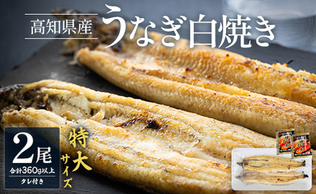 吉川水産 高知県産うなぎの白焼き 特大サイズ（180〜210g）×２尾　C-234