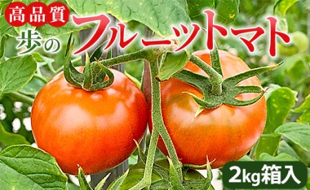 高品質!歩のフルーツトマト 約2kg 箱入り 先行予約 - トマト フルーツトマト 野菜 贈り物 箱入り ga-0005 - トマト 野菜 贈り物 ga-0005