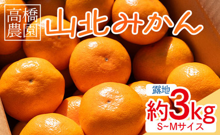 高橋農園 山北みかん3kg(露地・S〜M)ギフト用 - 果物 フルーツ ミカン 蜜柑 柑橘 みかん th-0006