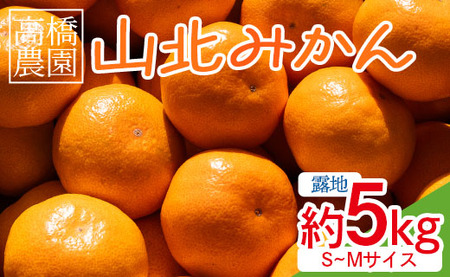 高橋農園 山北みかん5kg(露地・Ｓ～Ｍ)ギフト用 - 果物 フルーツ 柑橘 みかん みかんみかんみかんみかんみかんみかんみかんみかんみかんみかんみかんみかんみかんみかんみかんみかんみかんみかんみかんみかんみかんみかんみかんみかんみかんみかんみかんみかんみかんみかんみかんみかんみかんみかんみかんみかんみかんみかんみかんみかんみかんみかんみかんみかんみかんみかんみかんみかんみかんみかんみかんみかんみかんみかんみかんみかんみかんみかんみかんみかんみかんみかんみかんみかんみかんみかんみかんみかんみかんみかんみかんみかんみかんみかんみかんみかんみかんみかんみかんみかんみかんみかんみかんみかんみかんみかんみかんみかんみかんみかんみかんみかんみかんみかんみかんみかんみかんみかんみかんみかんみかんみかんみかんみかんみかんみかんみかんみかんみかんみかんみかんみかんみかんみかんみかんみかんみかんみかん th-0008