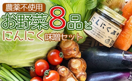 農薬不使用のお野菜8品とにんにく味噌のセット pr-0011