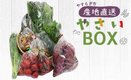 やすらぎ市 産地直送やさいBOX 野菜 ベジタブル ヘルシー 詰め合わせ セット 季節 旬 おまかせ 10種類前後 国産 特産品 野菜野菜野菜 yr-0011