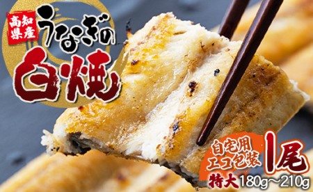 吉川水産 高知県産うなぎの白焼特大サイズ(180〜210g)×1尾 タレ付き 自宅用エコ包装 yw-0042