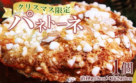 [クリスマス限定]苺屋 パネトーネ - X'mas 菓子パン 伝統菓子 数量限定 送料無料 高知県 香南市 常温 it-0105