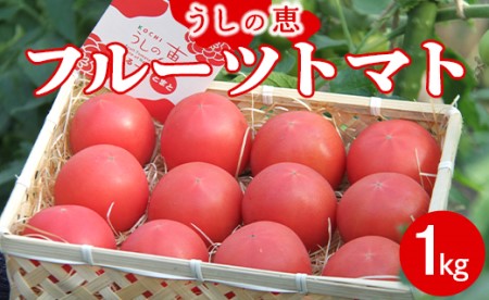 [先行受付]うしの恵 フルーツトマト籠入り1kg - 野菜 とまと 産地直送 料理 アレンジ サラダ 鍋 サンドイッチ 完熟 リコピン 甘い あまい フレッシュ さっぱり 贈答 お礼 御礼 おいしい 国産 高知県 香南市 常温 mj-0023