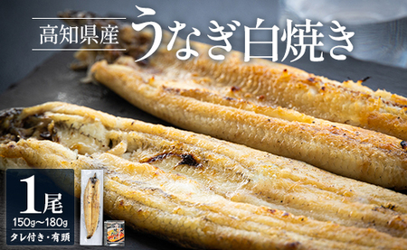 高知県産うなぎの白焼き 150〜180g×1尾 - エコ包装 国産 うなぎ 白焼き 鰻 冷凍 高知 yw-0056