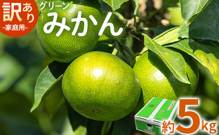 家庭用 訳あり グリーンみかん 約5kg - 送料無料 ミカン 蜜柑 柑橘 果実 ご自宅用 旬 かなや農園 合同会社Benifare 柑橘類 すっぱい箱 早生 わせ 爽やか さわやか さっぱり わけあり 訳アリ 特産品 高知県 香南市 be-0067