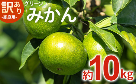 家庭用 訳あり グリーンみかん 約10kg -送料無料 フルーツ 果物 ミカン 柑橘 ご自宅用 旬 季節 かなや農園 合同会社Benifare 国産 特産品 高知県 香南市 be-0069