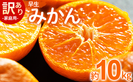 [数量限定]家庭用 訳あり 早生みかん 約10kg - 送料無料 フルーツ くだもの 果物 柑橘 甘いかなや農園 合同会社Benifare ジュース マーマレード 酸味 糖度 おいしい 美味しい やみつき 濃厚 のうこう 高知県 香南市 be-0057