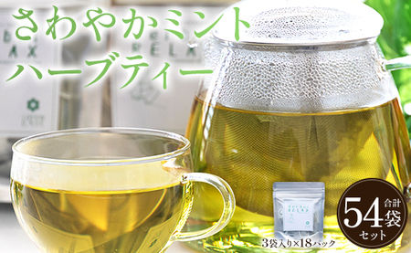 さわやかミントハーブティー 54袋 - ミント ハーブ お茶 飲み物 ティーバッグ 茶葉 gr-0161