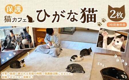 保護猫カフェひがな猫 1時間無料券 2枚 / チケット 券 利用券 カフェ利用券 体験チケット 猫カフェ ネコカフェ ねこカフェ 保護猫 保護猫カフェ 1時間 無料 高知県 香美市