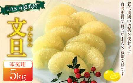 JAS 有機栽培 文旦 5kg 家庭用 ぶんたん 柑橘 フルーツ 果物 お取り寄せ 【2026年2月上旬～3月上旬迄発送予定】