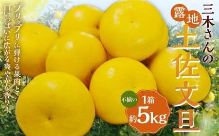 三木さんの露地栽培土佐文旦 1箱 約5kg [2026年4月上旬迄発送予定] 文旦 ぶんたん ブンタン 柑橘 柑橘系 柑橘類 みかん ミカン 蜜柑 果物 くだもの フルーツ 国産 高知県 香美市 常温