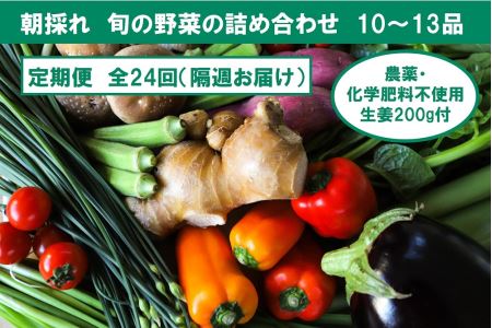 【定期便24回】『隔週お届け』旬の野菜の詰め合わせと農薬不使用の生姜200g付き