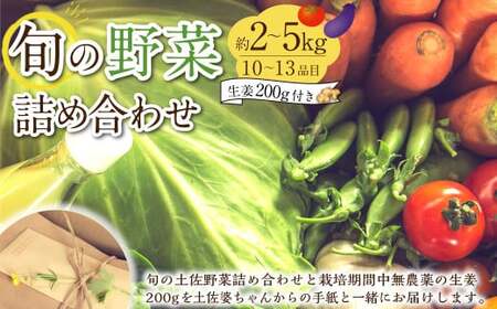 旬の野菜の詰め合わせと栽培期間中 農薬不使用の生姜200g付き 詰め合わせ 野菜セット 野菜 ギフト やさいセット お取り寄せグルメ 家庭用 旬野菜 新鮮 特産 農薬不要 食材