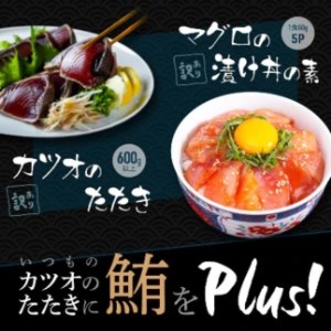 訳あり カツオたたき 約600g+マグロ漬け丼の素 約80gx5パック