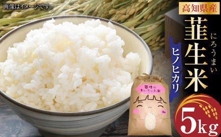 [令和6年産]米ヒノヒカリ 韮生米 高知県産 5kg [2024年9月下旬~2025年1月下旬迄発送] お米 米 ヒノヒカリ ひのひかり 精米