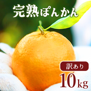 ys\zAnۂ񂩂5kg×2Zbg10kg Y mY 󂠂 Î_ς Â  ~J W[V[ m m l  t[c ʕ  Yn F143