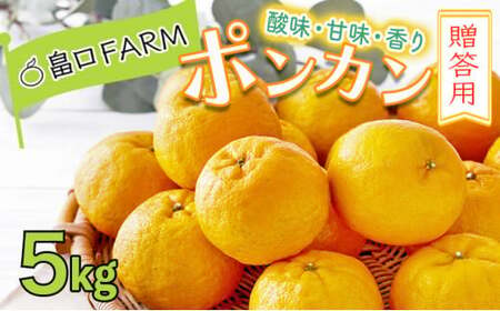 [先行予約]ポンカン[贈答用]5kg HT13 [H-09] [畠口FARM(畠口 佳養)]