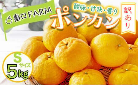 [先行予約]訳ありちびポンカン [5kg] Sサイズ HT15 [H-01] [畠口FARM(畠口 佳養)]