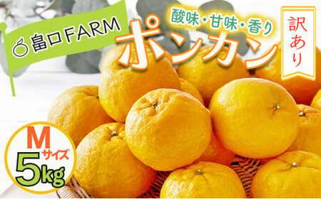 [先行予約]訳ありポンカン [5kg] Mサイズ HT17 [H-05] [畠口FARM(畠口 佳養)]