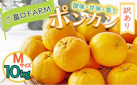 ys\z󂠂|J 10kg MTCY@HT18 [H-06] yFARMi@{jz