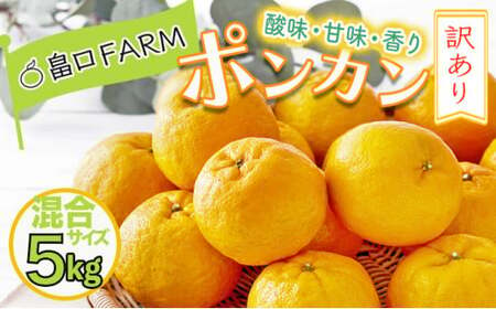 [先行予約]訳ありポンカン [5kg] サイズ混合 HT19 [H-07] [畠口FARM(畠口 佳養)]