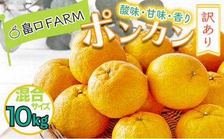 ys\z󂠂|J 10kg TCY@HT20 [H-08] yFARMi@{jz