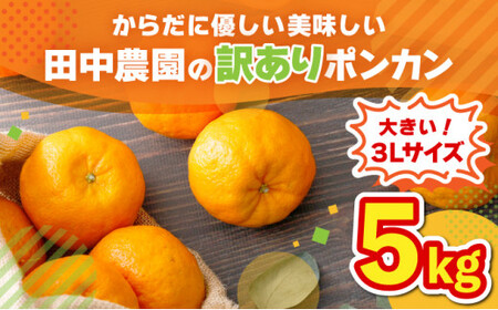 ys\z󂠂|J 5kgi3LTCYj Y mY 󂠂 Î_ς W[V[  ~J L@엿 m m l  t[c ʕ  TA14 [TA14] yc_