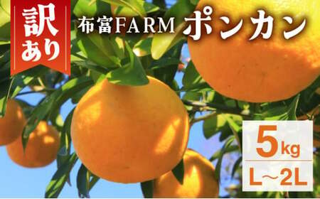 [先行予約]訳ありポンカン L〜2Lサイズ 5kg NT2 [N-03] [布富FARM]