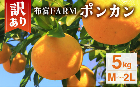 [先行予約]訳ありポンカン M?2Lサイズ 5kg NT4 [N-01] [布富FARM]