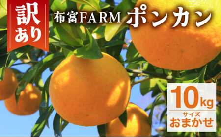 ys\z󂠂|J@TCY܂ 10kg@NT1 [N-06] yzxFARMz