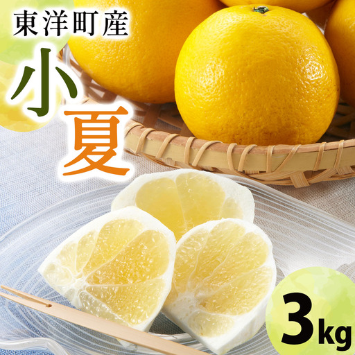 小夏 3kg TA15 [田中農園]