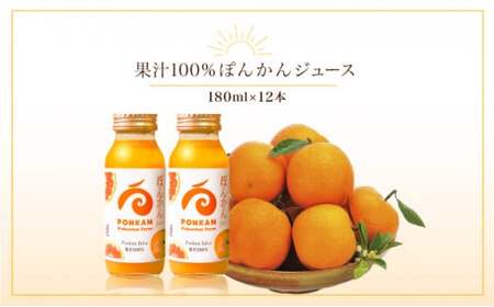 ぽんかんジュース180ml 12本入り 国産 東洋町産 果汁100% フレッシュジュース 酸味 着色料保存料不使用 四国 お取り寄せ フルーツ 果汁飲料 送料無料 F137 [株式会社フクチャンFARM]