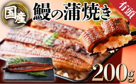 国産うなぎ蒲焼 有頭(特大)200g以上 1尾 ウナギ 鰻 高知県 東洋町 四国 お取り寄せ 家庭用 自宅用 贈り物 ギフト タレ・山椒付き うな重 鰻丼 うな丼 うな茶漬け [送料無料]U010 [TU-03] [東洋町うなぎ株式会社]