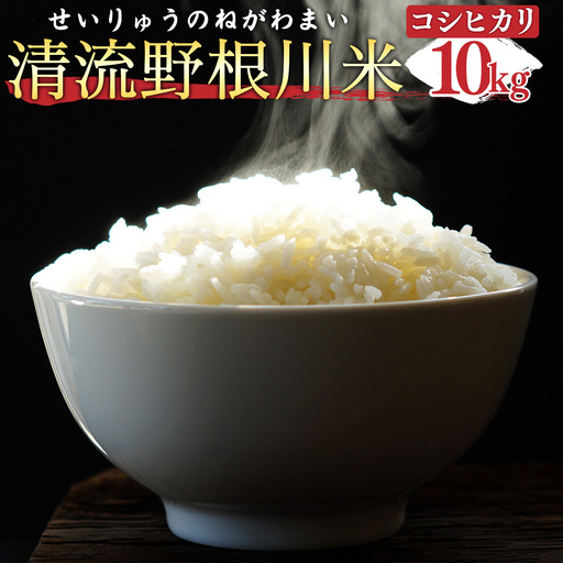 ＜先行予約＞ 清流野根川米（ コシヒカリ ）10kg！ 令和8年度産  東洋町産 国産 白米 精米 米 コメ こめ もっちり 四国 お取り寄せ 家庭用 自宅用 贈答用 贈り物 ギフト 送料無料 U113 [MM-01] 【合同会社松本家】