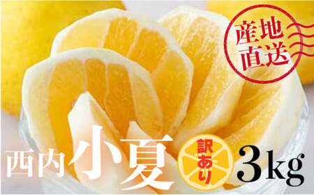 [訳アリ]西内小夏 3kg N42 [NU-01] [西内農園]