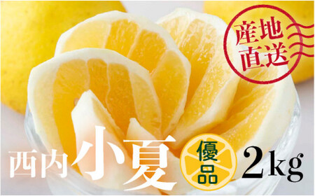 s\񁄁yDiz 2kg@N53 [NU-04] y_z