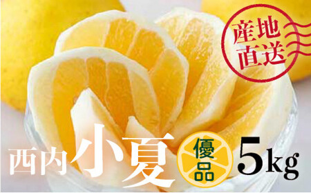 s\񁄁yDiz 5kg@N54 [NU-05] y_z