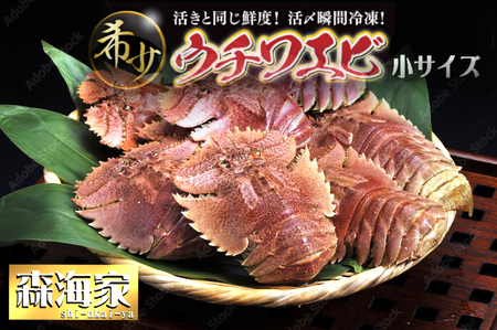 yӂ邳Ɣ[ŁzE`Gr() VRق܂I 1500g(18~20CO) Y mY VR VN CN hg Ă {C l  j LO 蕨  [S245] yАXC