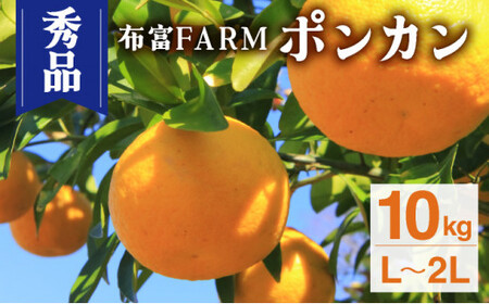 NT2-7-04  ＜先行予約＞【kg数が選べる】秀品ポンカンL〜2L　10kg