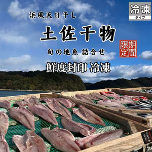 鮮度封印!冷凍 天日干し 手作り干物詰め合わせ地魚セット 無添加土佐干物 期間限定品