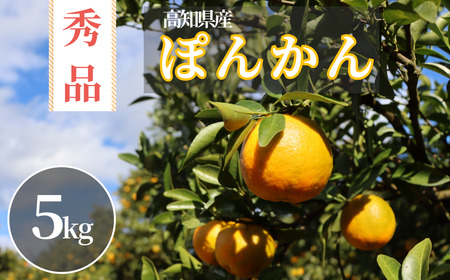 徳村のぽんかん 秀品[5kg]国産 東洋町産 訳アリ 甘い コク ジューシー 果肉 高知県 東洋町 四国 お取り寄せ フルーツ 果物 家庭用 自宅用 送料無料