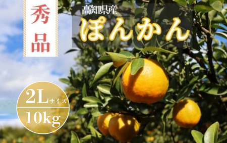 TM003-2 ̏Giۂ񂩂 2LTCY10kgY mY A Â RN W[V[ ʓ m m l  t[c ʕ ƒp p 