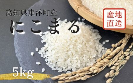 S249-1 [2025年11月発送]令和7年産にこまる [5kg]国産 米 新米 お米 高知県産