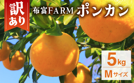 [先行予約]訳ありポンカン Mサイズ 5kg N-08[布富FARM]